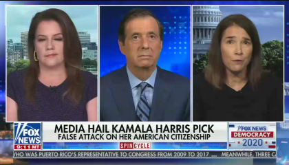 Fox News guest says media is "baiting" Trump